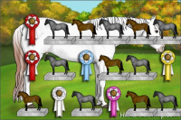 Horse Color:Brown Roan Dun Sabino Appaloosa Rabicano 