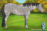 Horse Color:Black Ice Sabino