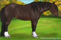 Horse Color:Gray Bay