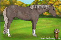 Horse Color:Silver Black 
