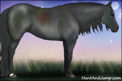 Horse Color: Brown 
