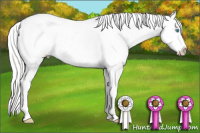 Horse Color:White Spotted Silver Perlino Sabino Appaloosa