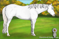 Horse Color:White Spotted Perlino Splash Appaloosa