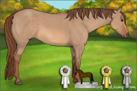 Horse Color:Liver Red Dun Sabino