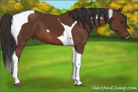 Horse Color:Bay Tobiano