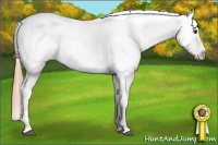 Horse Color:Chestnut Snowcap 