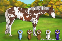 Horse Color:White Spotted Silver Brown Sabino 