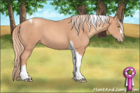 Horse Color:Gold Champagne Tobiano
