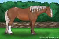 Horse Color:Silver Bay Splash Tobiano