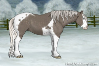 Horse Color:Silver Smoky Black Splash Tobiano 