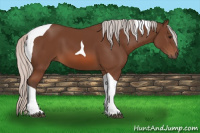Horse Color:Silver Bay Tobiano