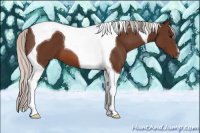 Horse Color:Silver Brown Tobiano 