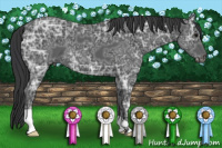 Horse Color:Black Ice 
