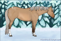 Horse Color:Silver Bay Dun Sabino Tobiano 