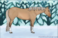 Horse Color:Silver Bay Dun Tobiano