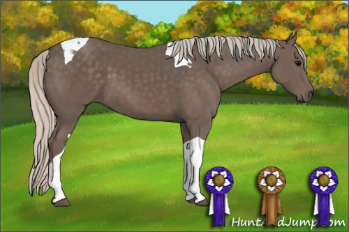 Horse Color: Unknown 