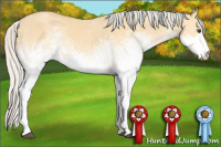 Horse Color:White Spotted Silver Buckskin Dun 