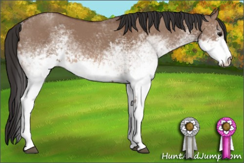 Horse Color: White Spotted Bay Dun 
