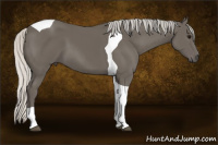 Horse Color:Silver Smoky Black Tobiano 
