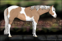 Horse Color:Silver Bay Dun Splash Tobiano