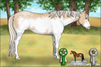 Horse Color:White Spotted Silver Grullo Pearl Frame