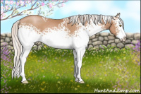 Horse Color:White Spotted Silver Brown Pearl Sabino Splash 