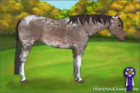 Horse Color:Bay Ice Tobiano Rabicano