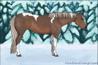 Horse Color:Silver Black Sabino Tobiano 