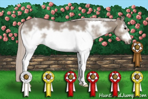Horse Color: White Spotted Silver Grullo Frame 