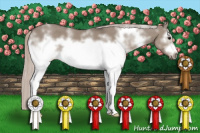 Horse Color:White Spotted Silver Grullo Frame