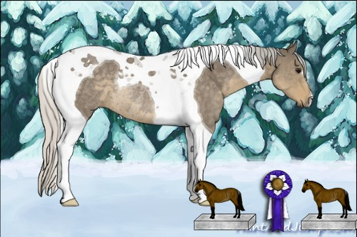 Horse Color: Silver Smoky Grullo Tobiano Rabicano 