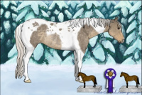 Horse Color:Silver Smoky Grullo Tobiano Rabicano 