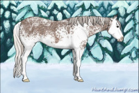 Horse Color:White Spotted Silver Black Ice Sabino Splash 