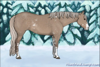 Horse Color:Silver Grullo Sabino
