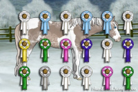 Horse Color:Silver Black Ice Sabino Splash Tobiano 