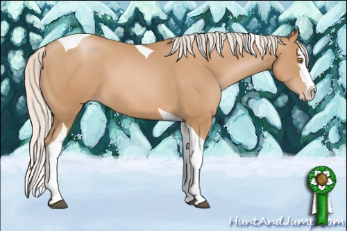 Horse Color: Silver Black Pearl Sabino Splash Tobiano 