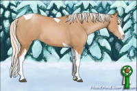 Horse Color:Silver Black Pearl Sabino Splash Tobiano 