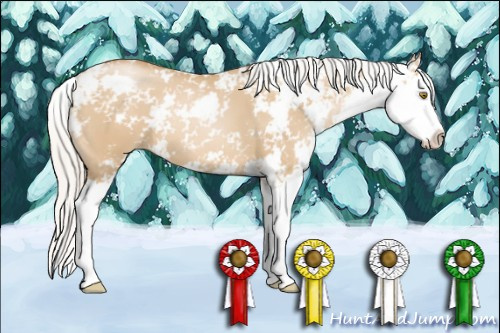 Horse Color: Silver Grullo Pearl Sabino Splash 