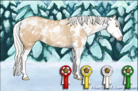 Horse Color:Silver Grullo Pearl Sabino Splash 