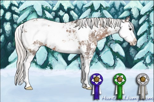Horse Color: Silver Black Ice Sabino 