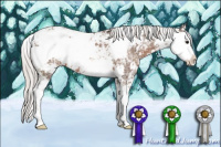 Horse Color:Silver Black Ice Sabino 
