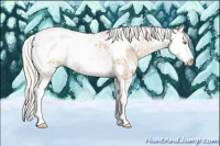 Horse Color:Silver Grullo Ice Pearl Sabino Splash 