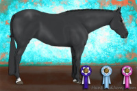 Horse Color:Black Sabino