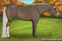 Horse Color:Silver Black 
