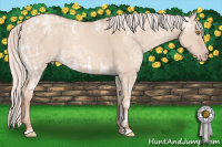 Horse Color:Silver Classic Champagne Ice Dun
