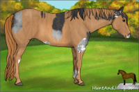 Horse Color:Black Sabino Brindle