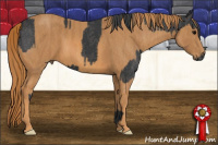 Horse Color:Black  Brindle