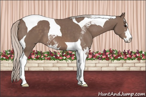 Horse Color: Silver Black Sabino Tobiano 