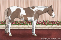 Horse Color:Silver Black Sabino Tobiano