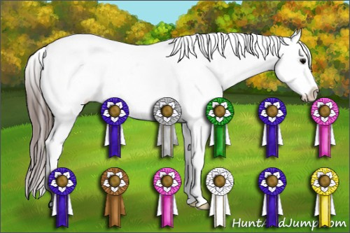 Horse Color: Brown Sabino Near Leopard 